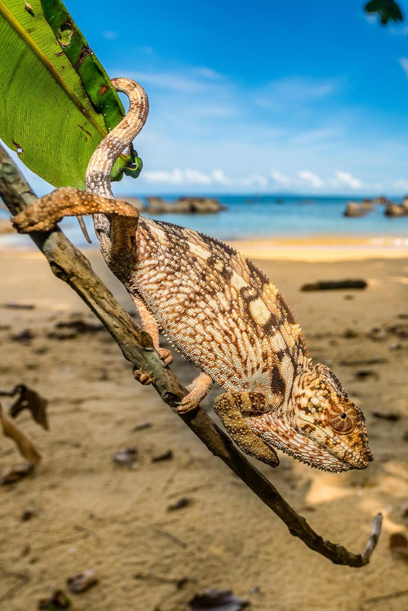 Komba Cabana クンバ島 エクステリア 写真